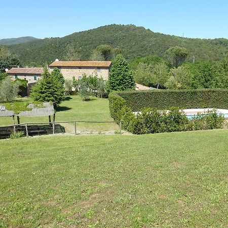 Ferienwohnung Agriturismo Le Colline Montescudaio Zimmer foto