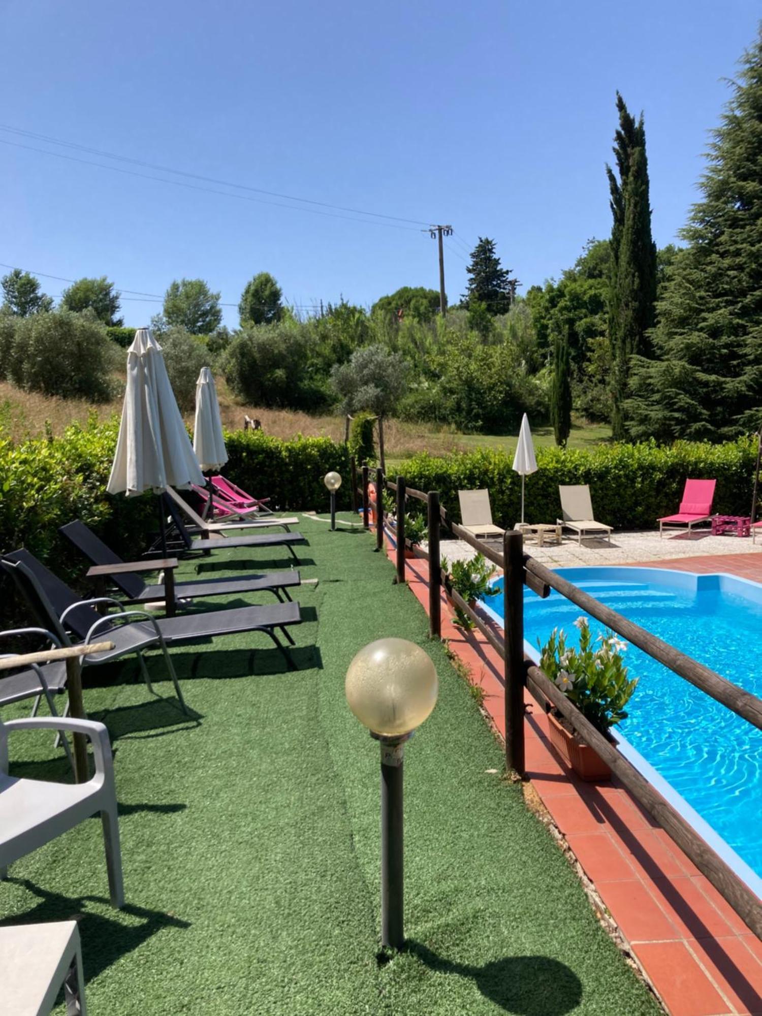 Agriturismo Le Colline Montescudaio Exterior foto