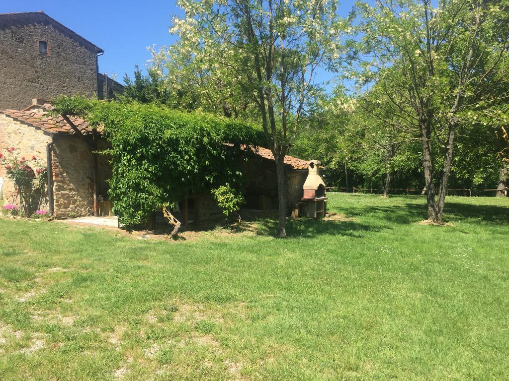 Ferienwohnung Agriturismo Le Colline Montescudaio Exterior foto