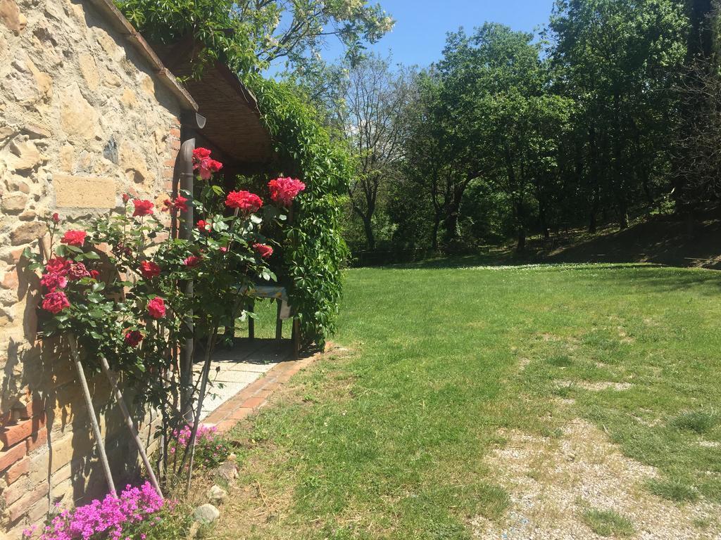 Ferienwohnung Agriturismo Le Colline Montescudaio Exterior foto